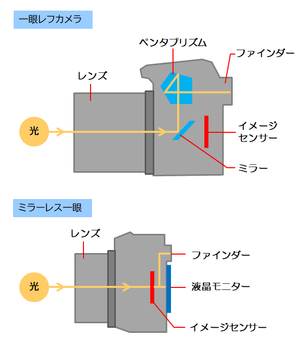 一眼レフとミラーレスの図解